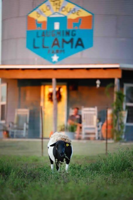 Silo House At Laughing Llama Farm Troy Eksteriør bilde
